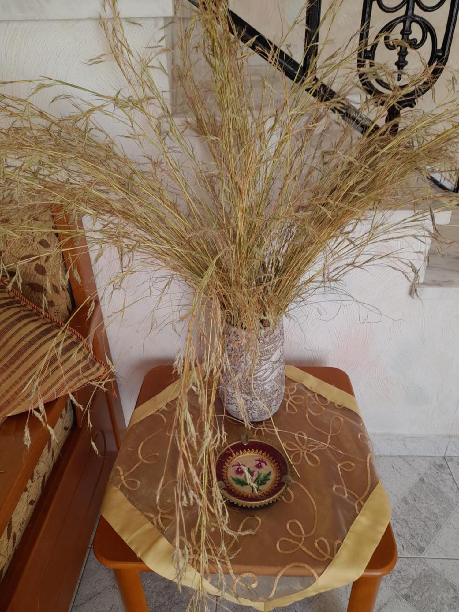 הוילה ארמופוליס Art House Syros מראה חיצוני תמונה
